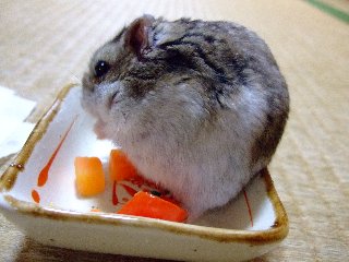 '08 blog用 0224.jpg