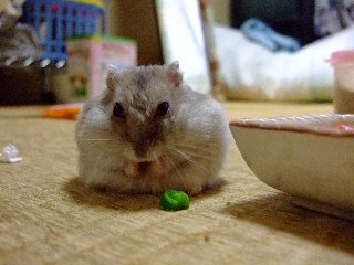 '08 blog用 0226.jpg