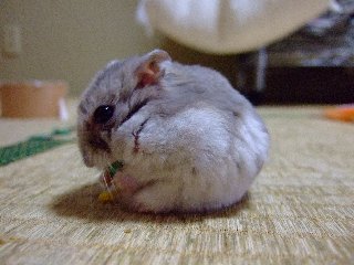 '08 blog用 0227.jpg