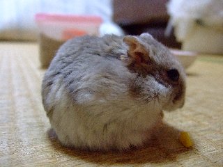 '08 blog用 0228.jpg