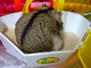'08 blog用 0229.jpg