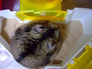 '08 blog用 0230.jpg