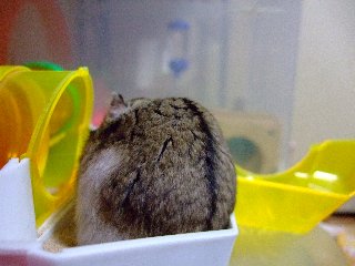 '08 blog用 0232.jpg