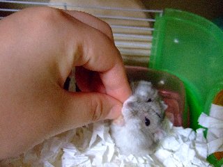 '08 blog用 0234.jpg