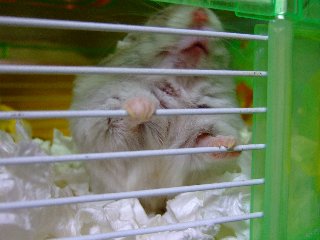 '08 blog用 0236.jpg