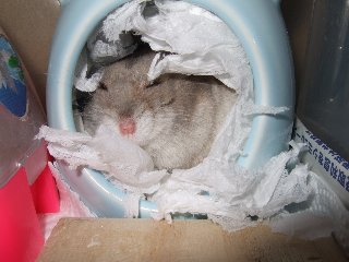 '08 blog用 0237.jpg