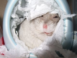 '08 blog用 0239.jpg