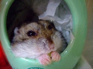 '08 blog用 0241.jpg