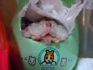 '08 blog用 0242.jpg