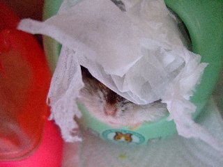 '08 blog用 0243.jpg