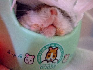 '08 blog用 0244.jpg