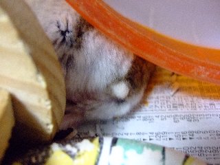 '08 blog用 0245.jpg