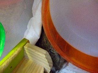 '08 blog用 0246.jpg