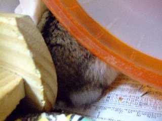 '08 blog用 0247.jpg