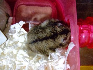 '08 blog用 0248.jpg