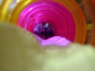 '08 blog用 0252.jpg