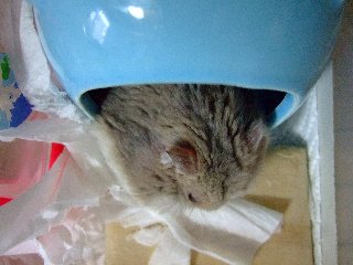'08 blog用 0253.jpg