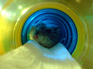 '08 blog用 0254.jpg
