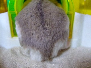 '08 blog用 0256.jpg