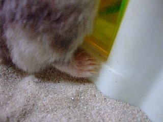 '08 blog用 0257.jpg