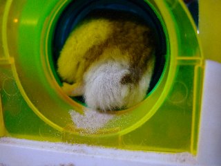 '08 blog用 0266.jpg