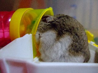 '08 blog用 0271.jpg