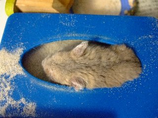'08 blog用 0274.jpg