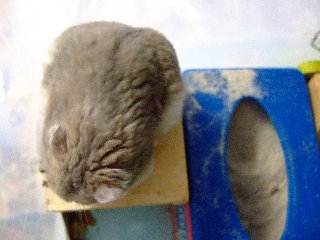 '08 blog用 0276.jpg
