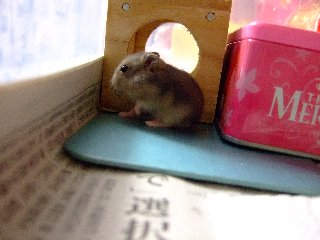 '08 blog用 0285.jpg