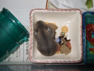 '08 blog用 0287.jpg