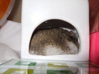 '08 blog用 0288.jpg