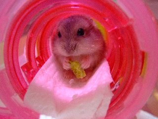 '08 blog用 0292.jpg