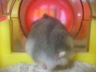 '08 blog用 0299.jpg