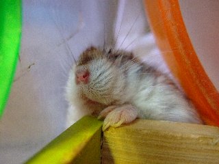 '08 blog用 0303.jpg