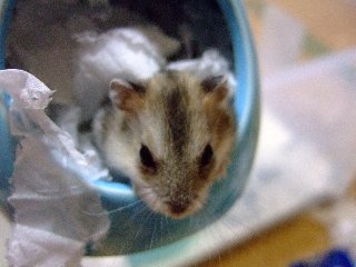 '08 blog用 0307.jpg