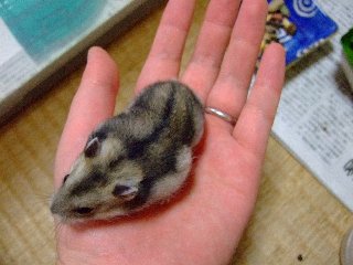 '08 blog用 0309.jpg