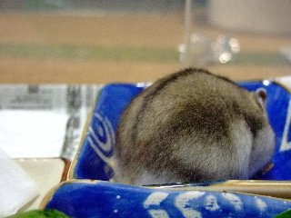 '08 blog用 0312.jpg