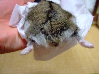 '08 blog用 0325.jpg