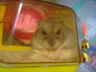 ガン飛ばし