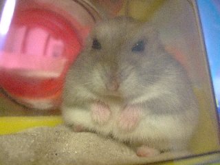 うそだよ~