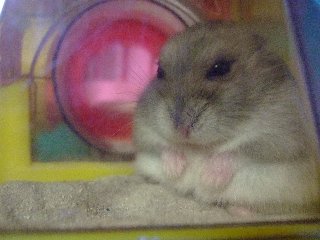 ぼーーーーーー