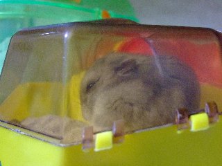 。。。。。