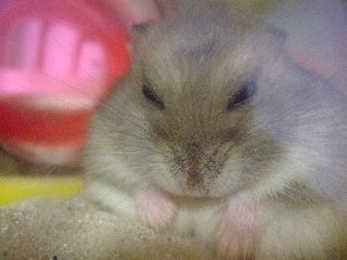 離れてる？
