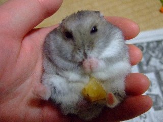 ごちそうさま！！！