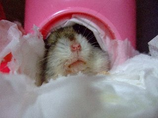 あっ・・・