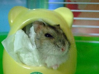 08 blog0013.JPG