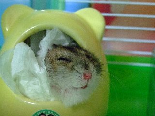 08 blog0014.JPG