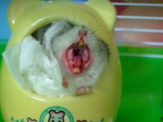 08 blog0015.JPG
