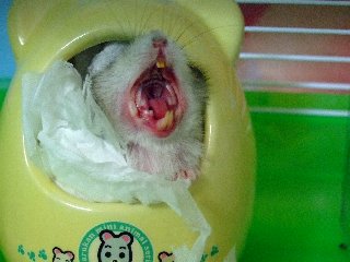 08 blog0016.JPG