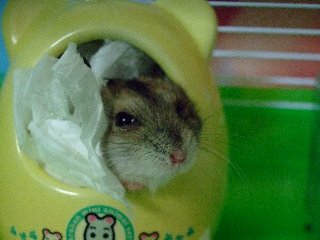 08 blog0017.JPG